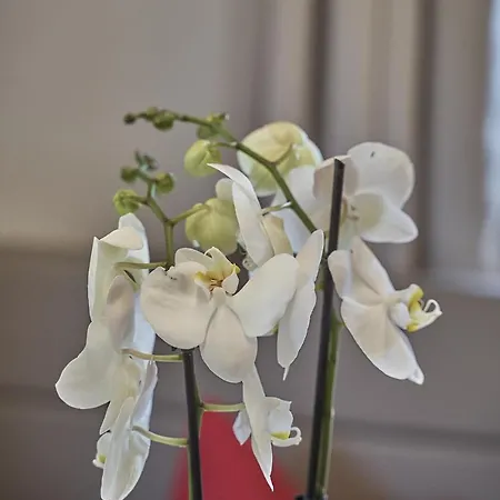 Garni Schoenblick 호텔