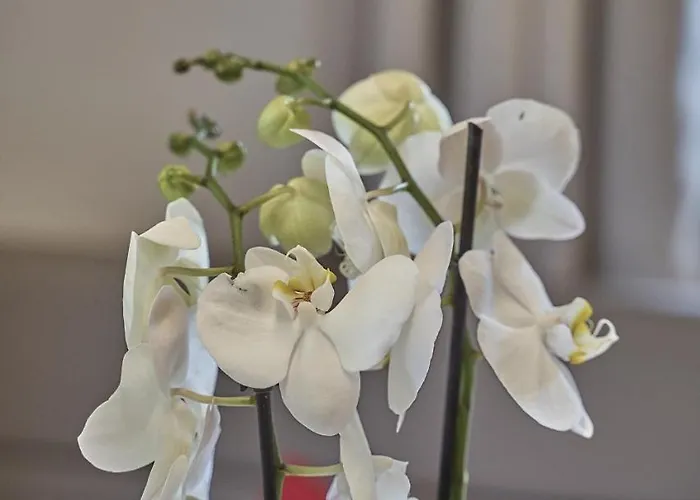 Garni Schoenblick Hotel